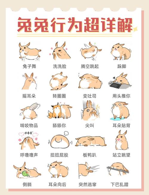 兔子一边喘气一边抽搐，养宠物要注意，别喂生肉辣的，多摸摸它们