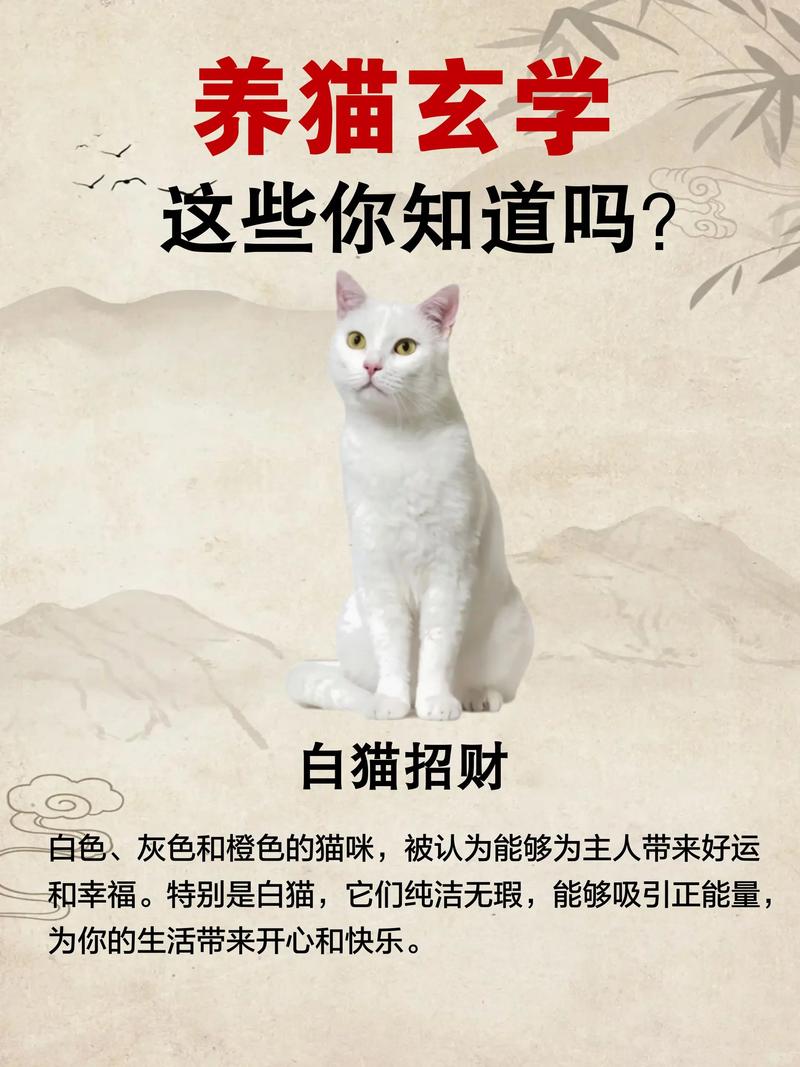 猫在屋里散养行吗,家猫自由好?安全更重要! 猫在屋里散养行吗,家猫自由好?安全更重要!