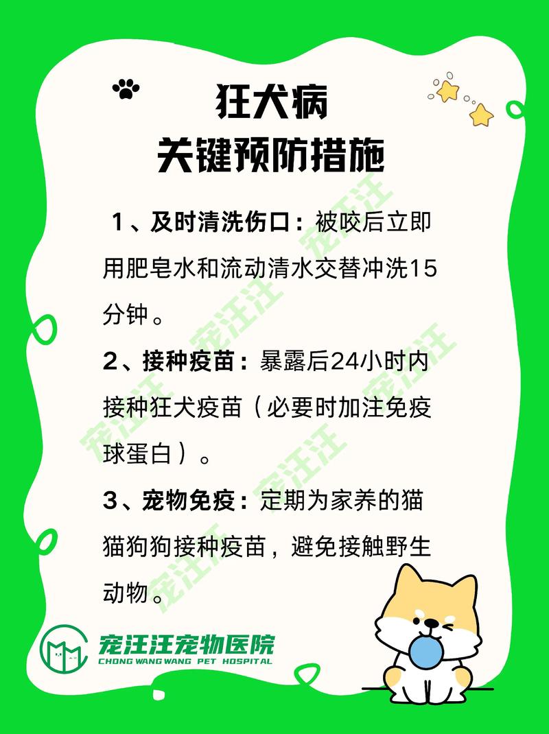 穷养一只德牧需要多少钱，养德牧不贵？健康营养是关键！