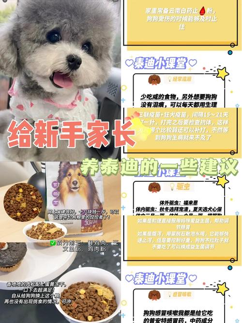 幼狗怎么养，静养喂对驱虫疫苗，耐心带它适应！