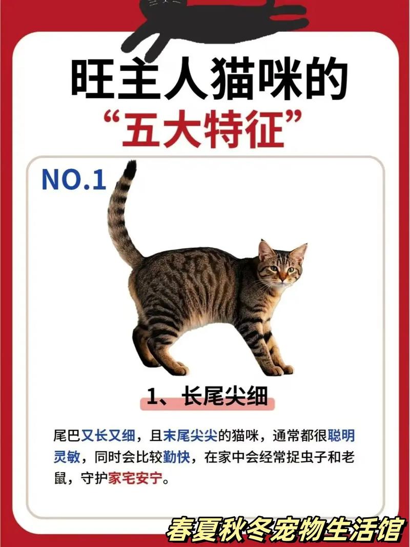 狗狗眼睛周围掉毛,狗狗眼周掉毛发红?查原因对治! 狗狗眼睛周围掉毛,狗狗眼周掉毛发红?查原因对治!