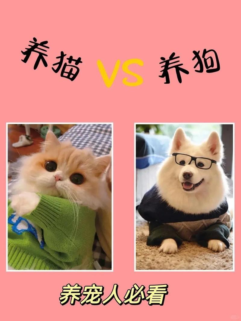 属狗适合养猫吗,狗和猫能不能做朋友?属狗的也能养猫! 属狗适合养猫吗,狗和猫能不能做朋友?属狗的也能养猫!
