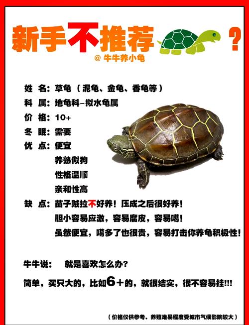 舔狗太漂亮by子宋玉章txt，女主穿越古代开酒楼，搞商业帝国，活出自我真独立