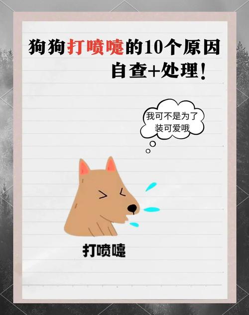 狗一直闻地上是怎么了，狗狗闻地是天性，它在探索世界！