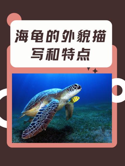家里养几只狗好养一只还是两只，养狗作伴好？别冲动！