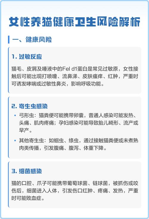 养猫的风险有多大，养蓝猫好处多？先看看这些烦恼！