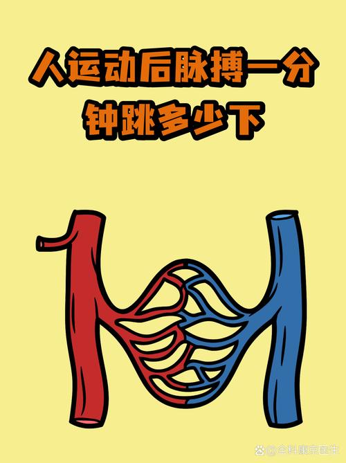 乌龟心跳一分钟多少次,慢生活,省能源,活久一点! 乌龟心跳一分钟多少次,慢生活,省能源,活久一点!