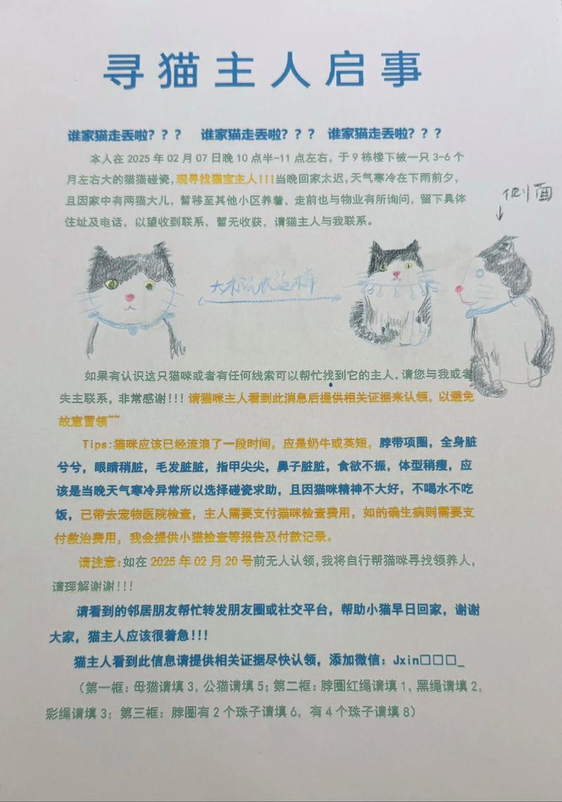 为什么给猫说找到领养人却跑了,警惕猫领养陷阱,实地考察,细心负责! 为什么给猫说找到领养人却跑了,警惕猫领养陷阱,实地考察,细心负责!
