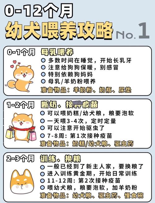 25天的小狗一次喂多少毫升奶，满月小狗喂奶指南