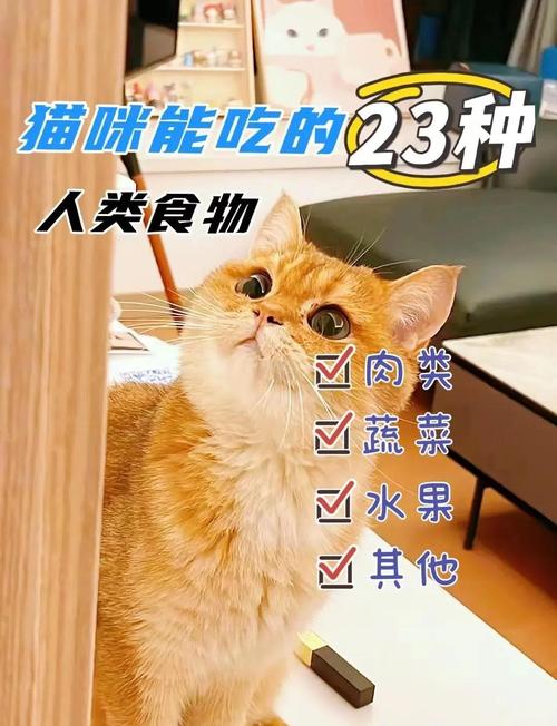 提高猫咪免疫力的食物，科学喂养，增强免疫力