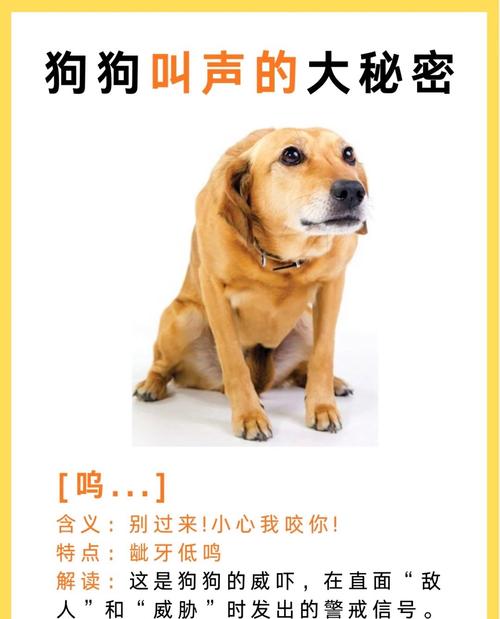 晚上听到狗叫千万别开门，夜狗叫不开门，别不信！