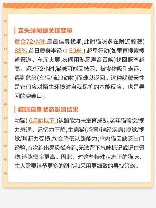 小猫跑丢了能找回来吗,小猫走失别急,放些猫食衣物在门口引路 小猫跑丢了能找回来吗,小猫走失别急,放些猫食衣物在门口引路