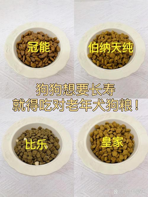4岁狗可以吃老年犬狗粮吗,狗狗营养需求变化,适时调整狗粮很重要 4岁狗可以吃老年犬狗粮吗,狗狗营养需求变化,适时调整狗粮很重要