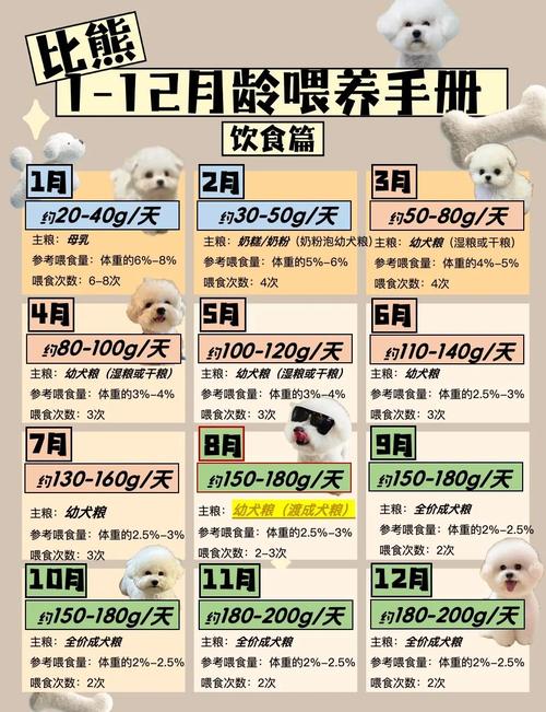 幼犬十个小时不喂会怎么样，别让幼犬饿太久，按时喂食爱它！