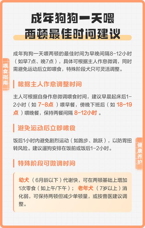 狗狗早晚几点喂食合适，狗狗两餐喂食时间如何定？
