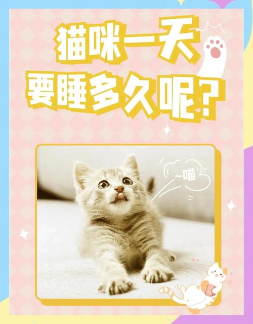 两岁半的家养猫一天睡多久，你家猫咪睡够了吗？