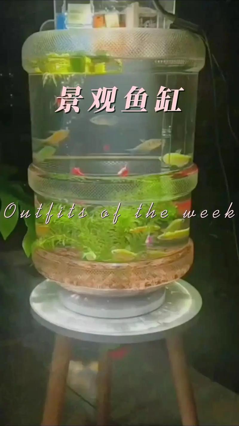 大桶养鱼，枝江女子用塑料桶养鲈鱼，年赚200万！