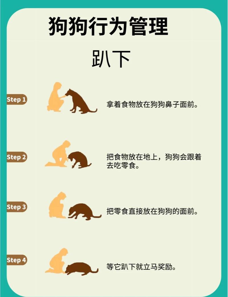 狗狗臣服主人的表现，信任与依赖，忠诚守护家