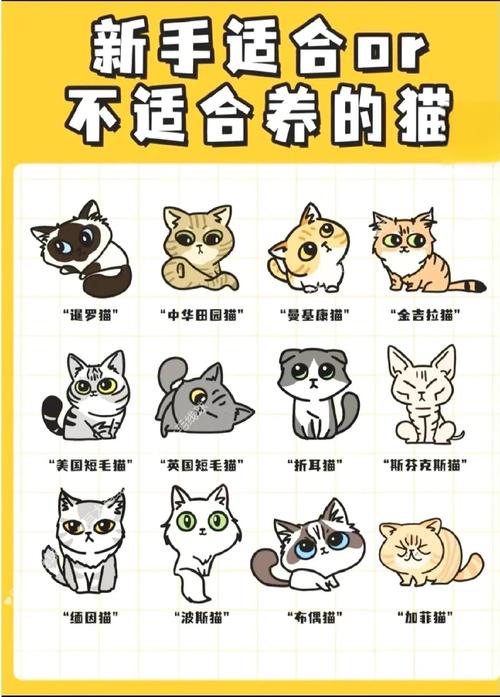 散养猫一般出去玩多久回来，农村吃饱就回，城市可能玩到天黑