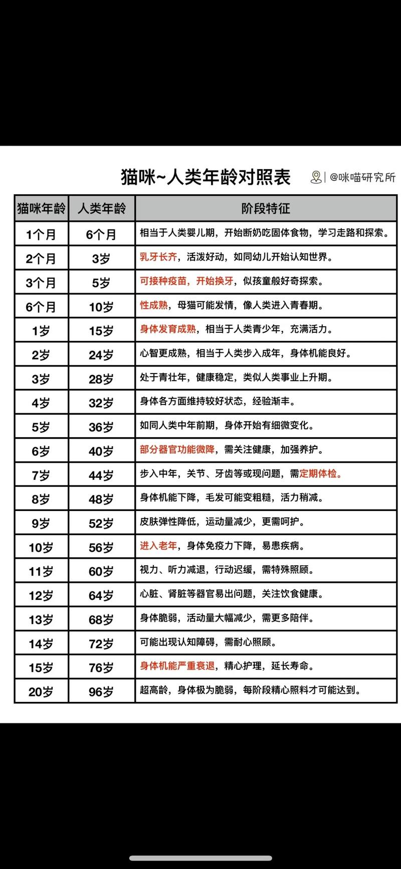 6岁的猫相当于人多少岁，六岁猫咪相当于40岁，注意饮食体检！