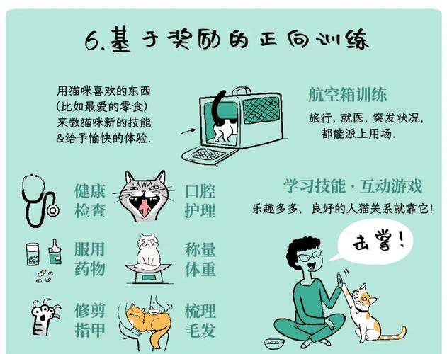 犬猫的行为学基础，狗狗摇尾巴贴人，都是爱的表达