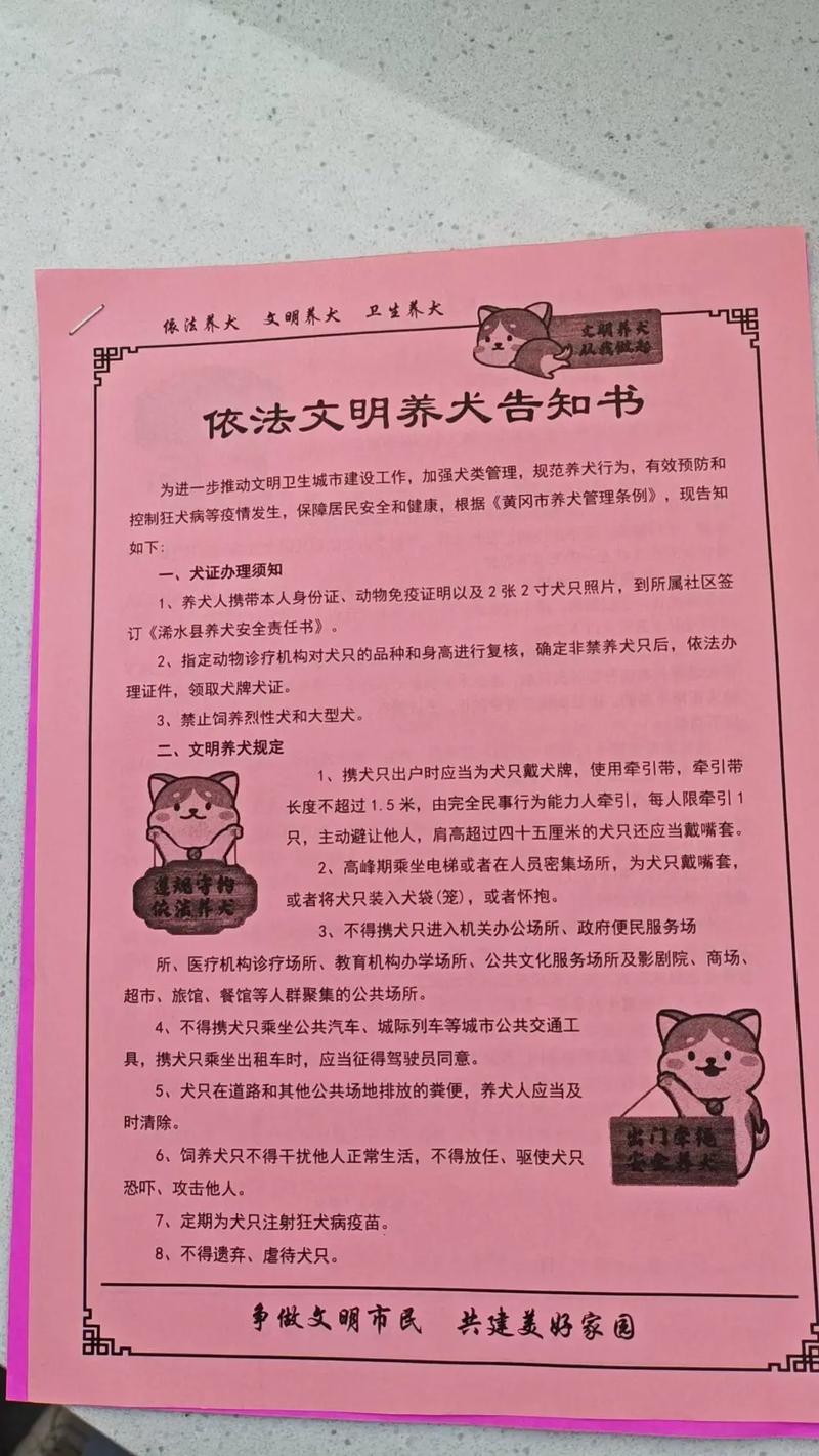 如果养了狗后面禁养了怎么办，养狗不让养？别慌，看这几招！