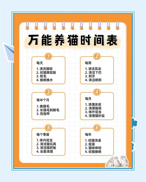 猫叫二十四时辰表详解，半夜猫叫为啥烦？绝育健康环境习性都有关！