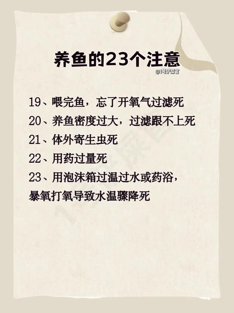 变色龙在中国可以养吗，养变色龙要注意品种合法性及环境要求