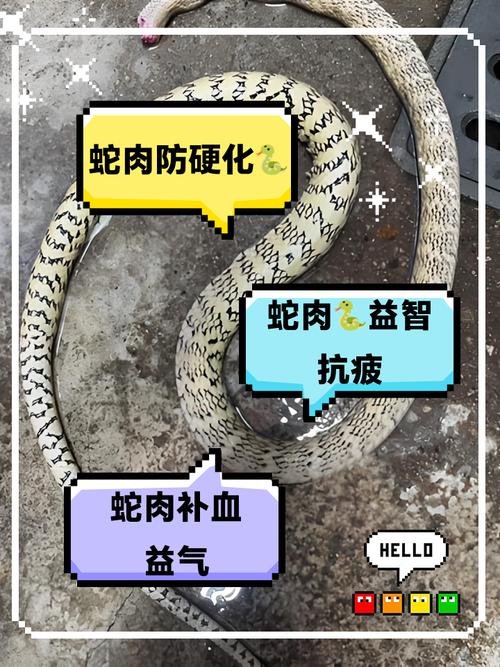 2023年人工养殖蛇还可以吃吗，养吃蛇不犯法，野生蛇和国家保护的不行，吃有风险