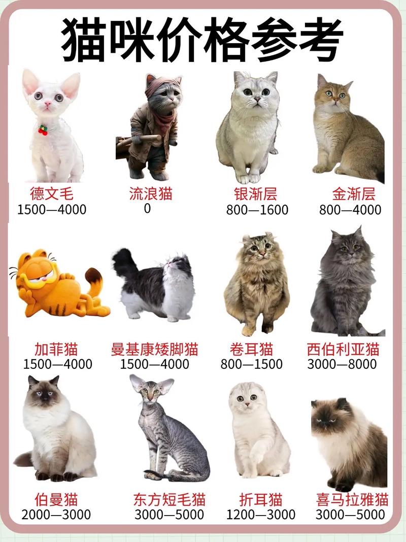 宠物猫能活多少年,养猫寿命长不长?绝育喂对看医生很关键! 宠物猫能活多少年,养猫寿命长不长?绝育喂对看医生很关键!