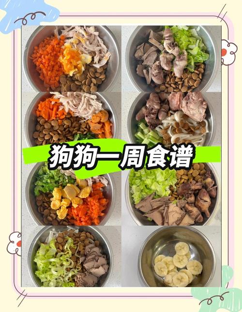 过满月的小狗应该吃什么，喂奶保暖促排便