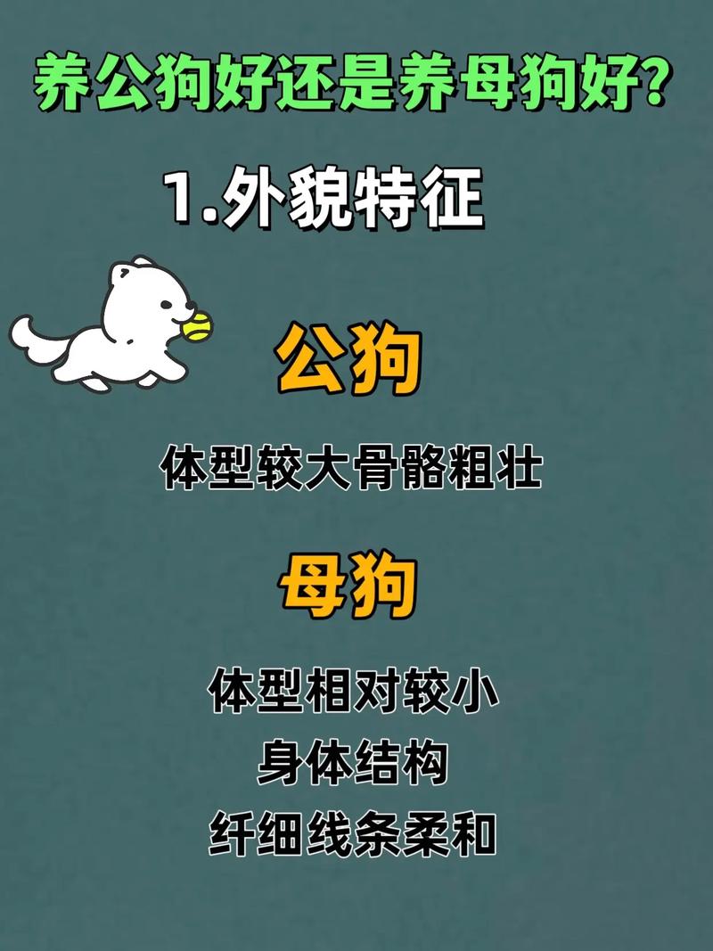 狗的公母对照图,站立小便小裙摆,简单易知! 狗的公母对照图,站立小便小裙摆,简单易知!