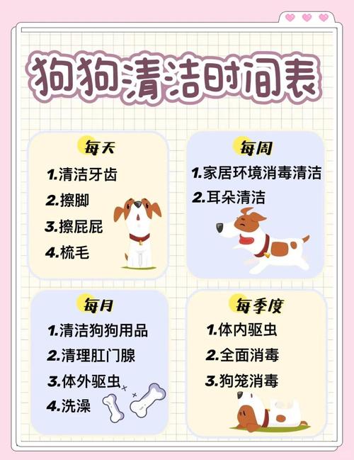 如何在家里养狗并且家里干净,训练规矩,保持清洁,全家一起乐 如何在家里养狗并且家里干净,训练规矩,保持清洁,全家一起乐