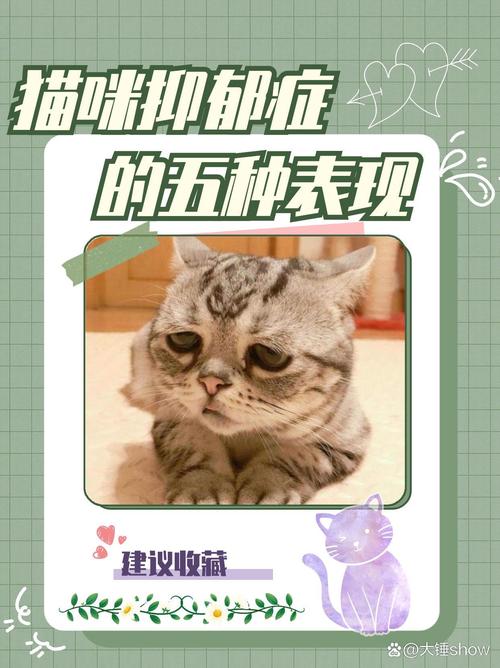 新开缸24小时放鱼，新鱼缸消毒养水教程