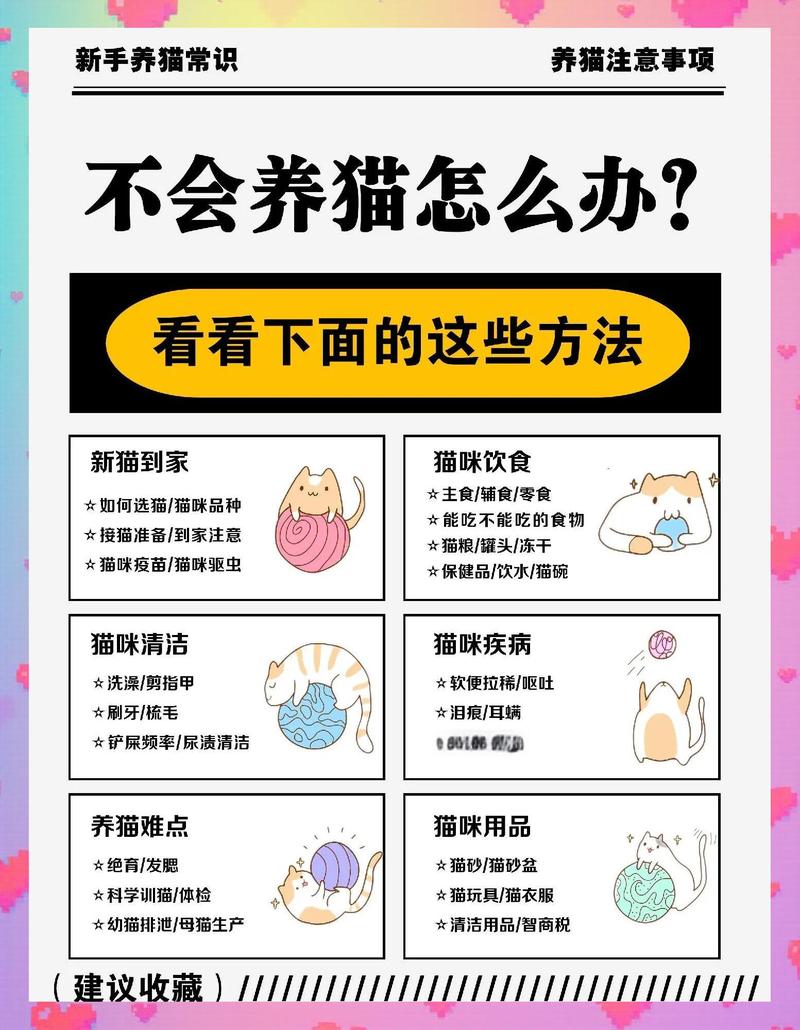 农村养猫怎么样才能不丢，农村养猫自由又安全小妙招