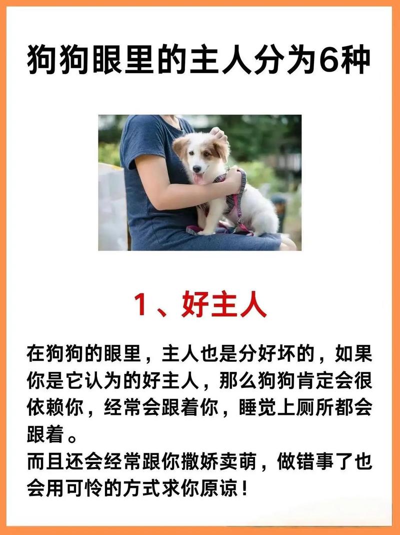 小狗认定的主人是啥样,摇尾巴跟脚边护家露肚皮,都是爱的表现! 小狗认定的主人是啥样,摇尾巴跟脚边护家露肚皮,都是爱的表现!