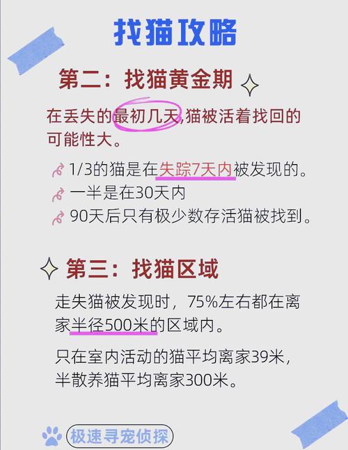 猫咪不见了怎么找回来，走失猫咪别慌，气味引路贴启事，多求助邻居