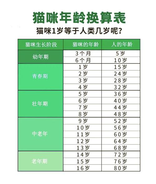 6岁的猫猫等于人类几岁，猫咪一年等于人类15岁，从小到老，猫咪的成长变化，需要我们用心陪伴