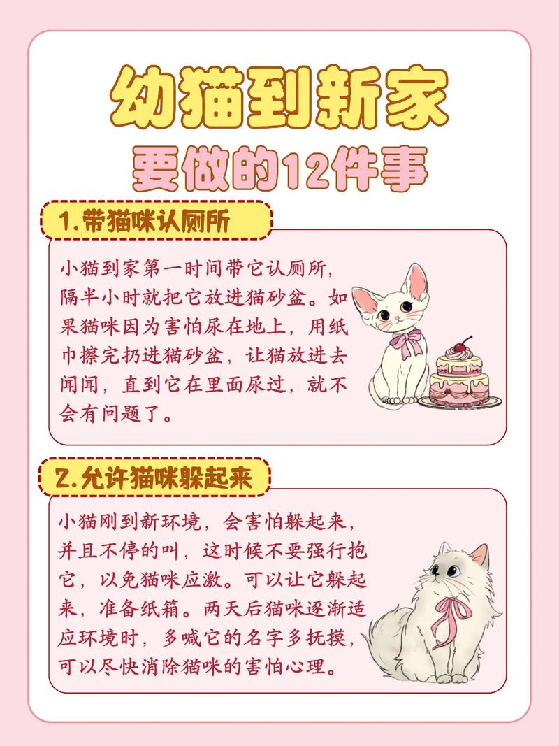出差半个月猫咪在家怎么养，离家半月？给猫咪备好家，安心在外！