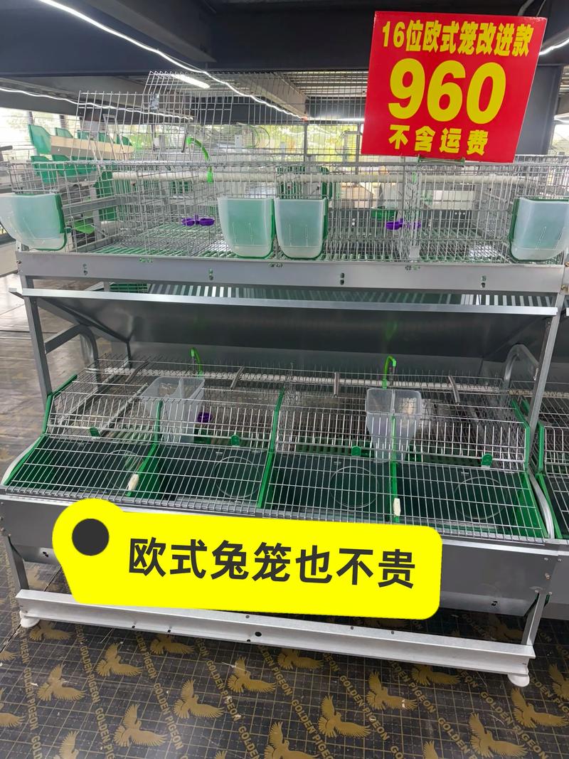 兔笼多大尺寸好，选对兔笼尺寸，宽敞安全又方便！