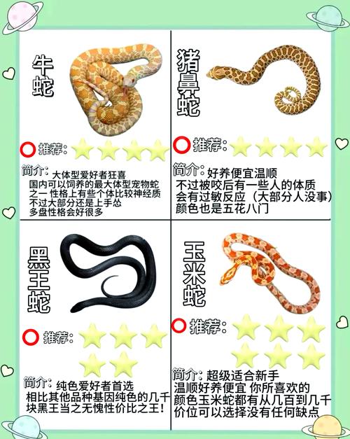 所有野生蛇类都是保护动物，保护与误解