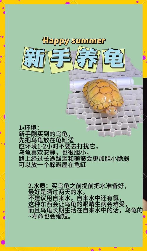 乌龟适应环境要多久,新龟到家别心急,耐心等适应,水温和环境要做好 乌龟适应环境要多久,新龟到家别心急,耐心等适应,水温和环境要做好