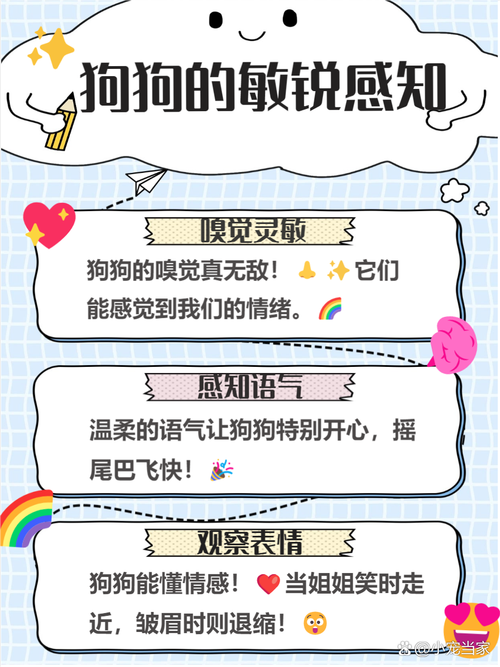 跟女生聊狗狗话题怎么聊下去,夸她狗可爱,聊养狗趣事,快速拉近距离 跟女生聊狗狗话题怎么聊下去,夸她狗可爱,聊养狗趣事,快速拉近距离