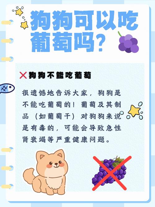 跟女生聊狗狗话题怎么聊下去,夸她狗可爱,聊养狗趣事,快速拉近距离 跟女生聊狗狗话题怎么聊下去,夸她狗可爱,聊养狗趣事,快速拉近距离