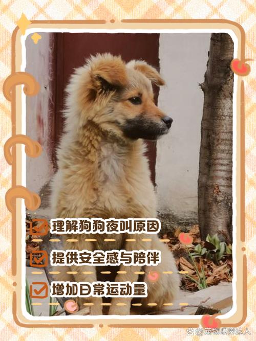 邻居狗叫扰民怎么办，狗叫扰民？别吵先沟通！