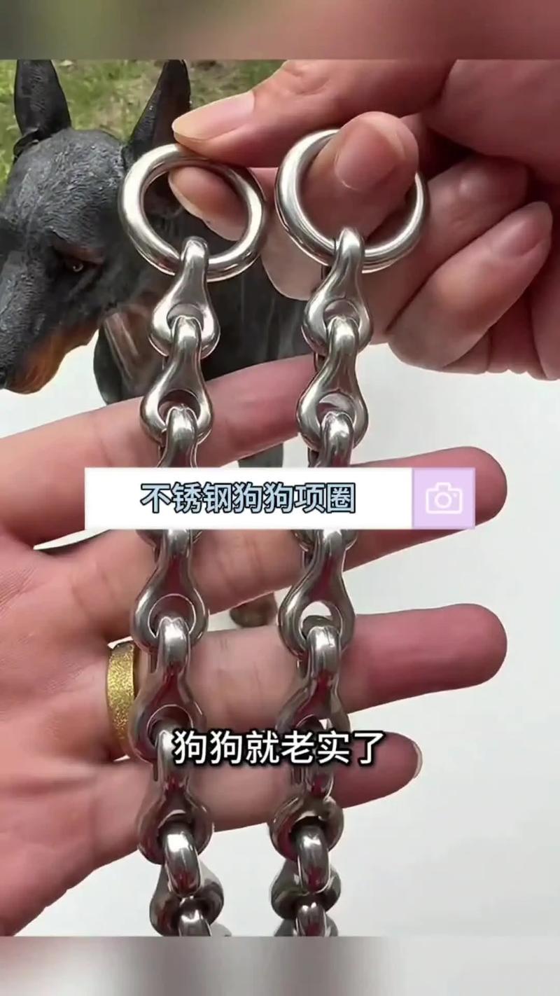 男人脖子戴狗链+项圈,男强,男士戴宠物项圈被女友牵着引热议 男人脖子戴狗链+项圈,男强,男士戴宠物项圈被女友牵着引热议
