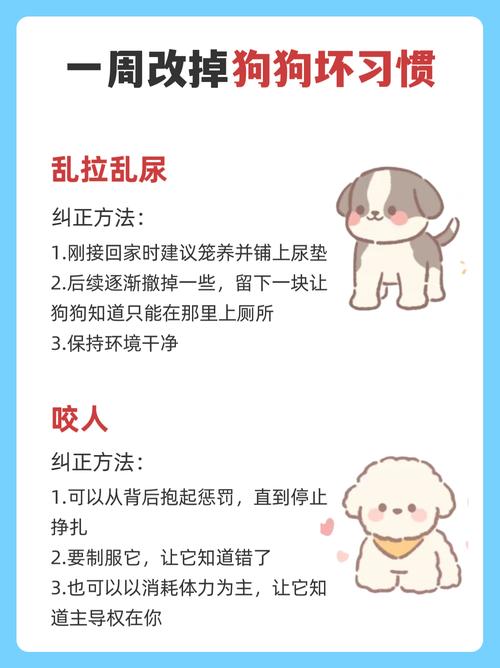 小母狗拉拉尿是怎么回事，狗狗漏尿怎么办？原因及解决方法