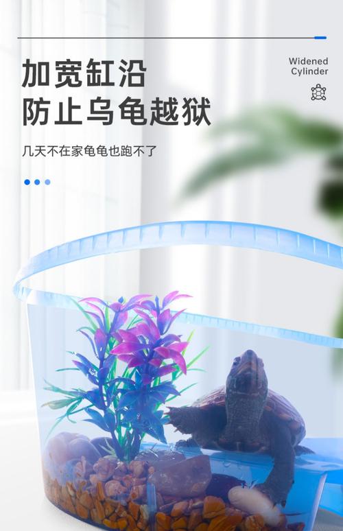 龟缸躲避图片，乌龟爱躲？放个躲避屋，它就安心了！