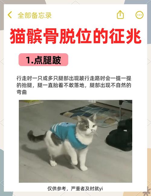 猫腿瘫痪的8个征兆，猫咪突然蔫儿腿软爱叫？快看医生！