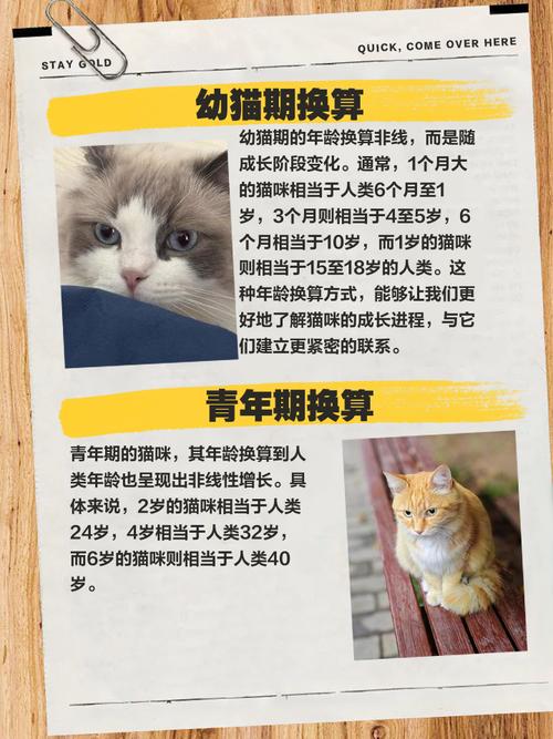 自制兔笼100种简单，自制兔笼省钱又贴心，旧物改造超实用！
